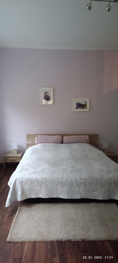 Apartman Zelengaj زغرب المظهر الخارجي الصورة